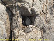 5 - La Madonnina tra le rocce